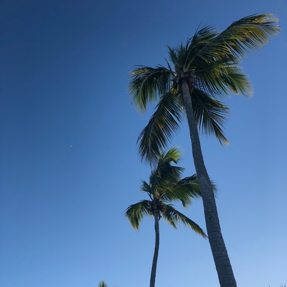 Meet your Posher, Emily - Picture 1 of 1